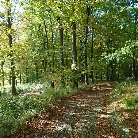 Nieder Winterberg
