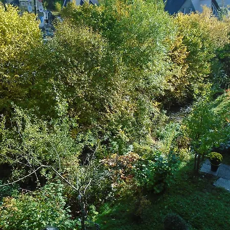 Apartment Nieder *